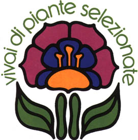 BAGLIONE PIANTE
